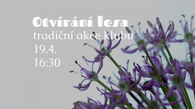 Otvírání lesa 19.4. 2024